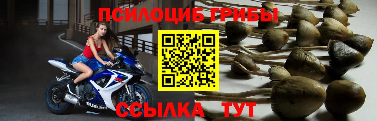 Псилоцибиновые грибы мицелий  Вход с VPN  Псилоцибиновые грибы MAGIC MUSHROOMS  Нижний Тагил 